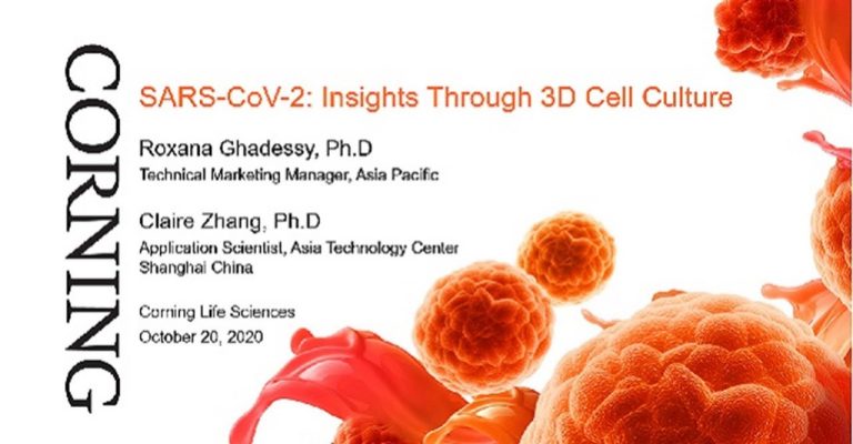 SARS-CoV-2: Insights Through 3D Cell Culture