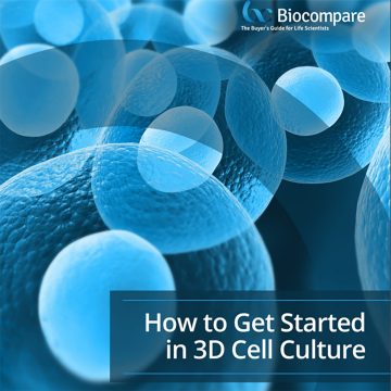 How to Get Started in 3D Cell Culture